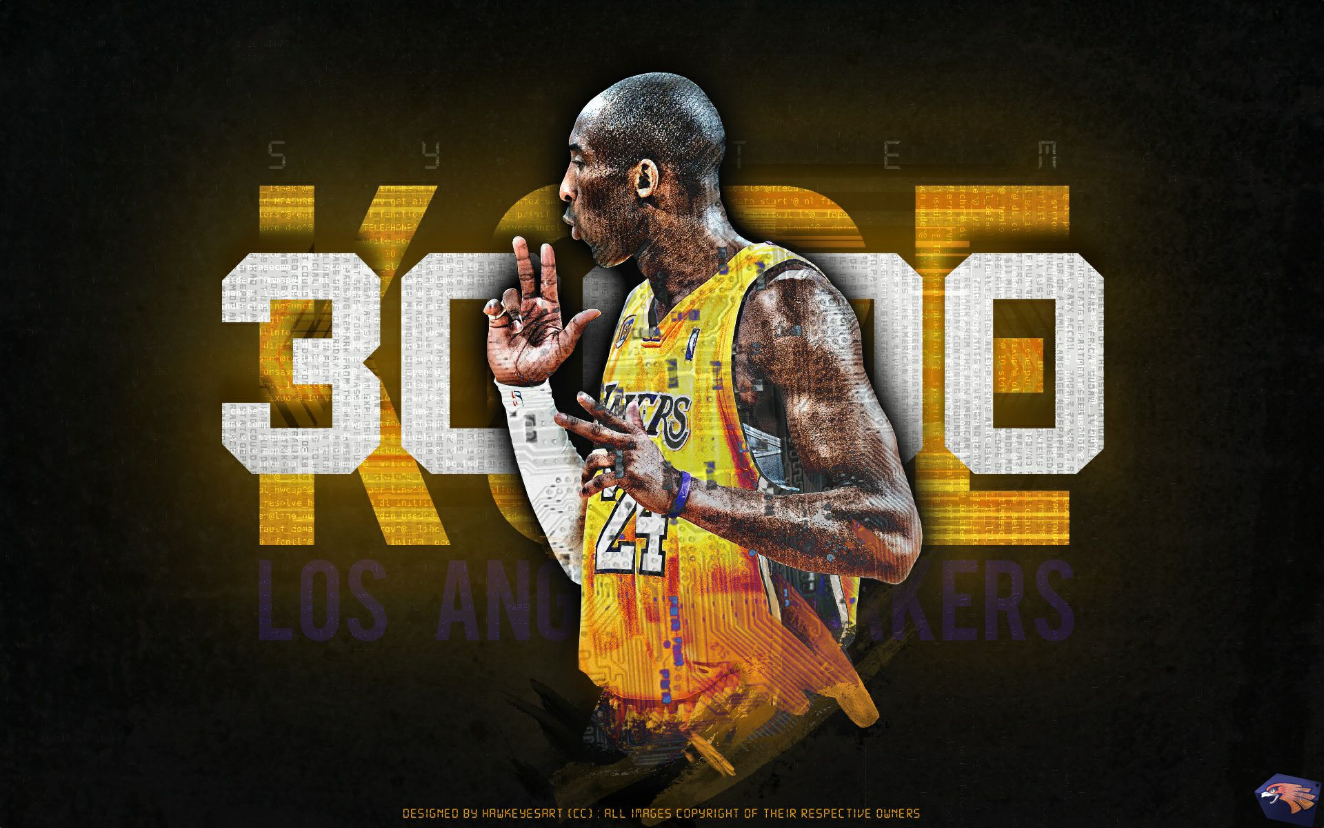 的最高水平 的最高水平